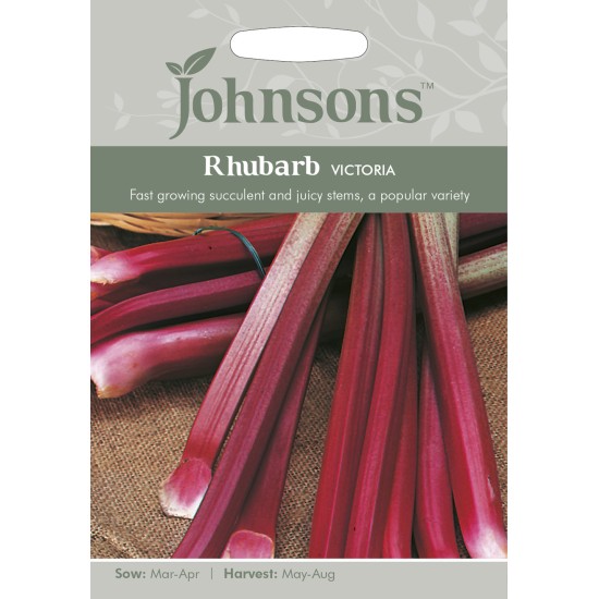 Seminte RHUBARB-Rheum cultorum- Victoria -Rubarbar peren