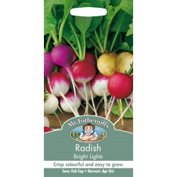 Seminte RAPHANUS sativus-Radish- Bright Lights - Ridichi de luna - amestec 