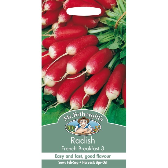 Seminte RAPHANUS sativus-Radish- French Breakfast -Ridichi de luna lunguiete