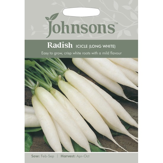 Seminte RAPHANUS sativus-Radish- Icicle (Long White) - Ridichi asiatice albe tolerante la caldura Seminte RAPHANUS sativus-Radish- Icicle (Long White) - Ridichi asiatice albe tolerante la caldura