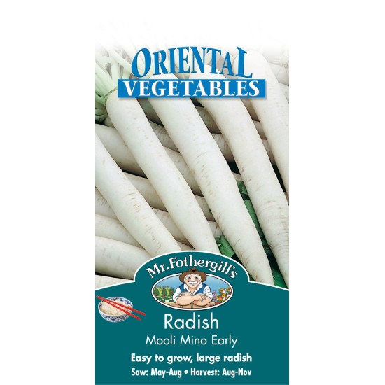 Seminte RAPHANUS sativus-Radish- (Mooli) Mino Early -Ridichi asiatice (Daykon) de toamna, albe