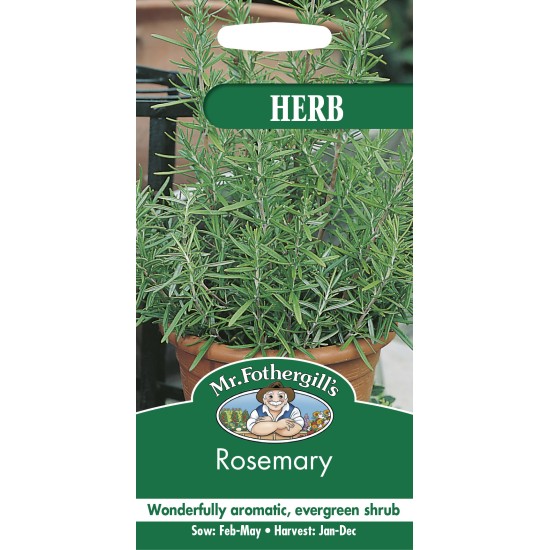 Seminte ROSMARINUS officinalis-Herb- Rosemary -Rozmarin Seminte ROSMARINUS officinalis-Herb- Rosemary -Rozmarin