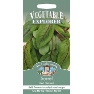 Seminte RUMEX sanguineus-Herb Sorrel- Red Veined -Macris rosu