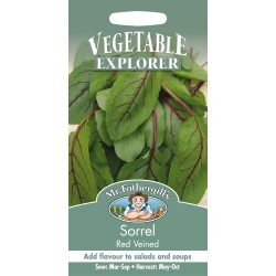 Seminte RUMEX sanguineus-Herb Sorrel- Red Veined -Macris rosu