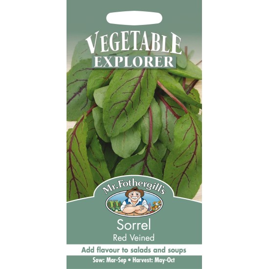 Seminte RUMEX sanguineus-Herb Sorrel- Red Veined -Macris rosu