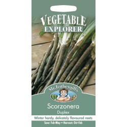 Seminte SCORZONERA hispanica- Duplex -Barba Caprei Seminte SCORZONERA hispanica- Duplex -Barba Caprei