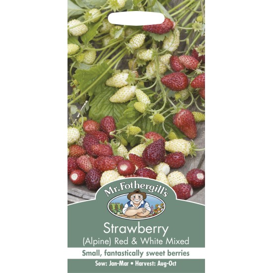 Seminte STRAWBERRY-Fragaria vesca- Alpine Red&White Mixed -Fragute