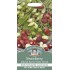 Seminte STRAWBERRY-Fragaria vesca- Alpine Red&White Mixed -Fragute