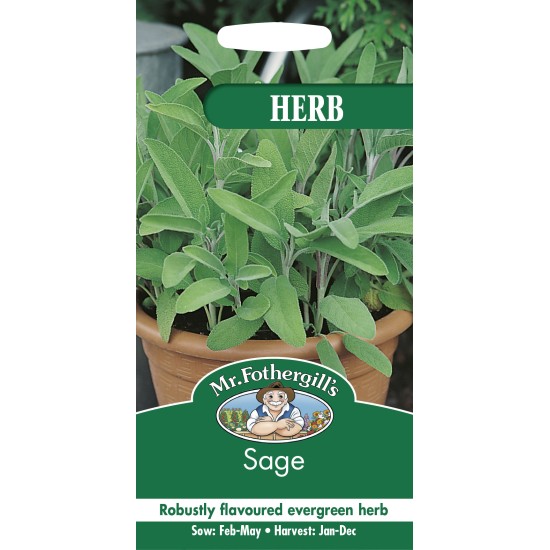 Seminte SALVIA officinalis-Herb Sage -Salvia condimentara Seminte SALVIA officinalis-Herb Sage -Salvia condimentara