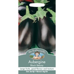 Seminte SOLANUM melongena-Aubergine- Black Beauty -Vinete  Seminte SOLANUM melongena-Aubergine- Black Beauty -Vinete