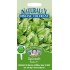 Seminte SPINACIA oleracea-Spinach- Emilia F1 -Spanac tolerant la boli