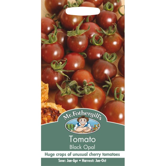 Seminte TOMATO-Solanum lycopersicum- Black Opal -Tomate negre cherry