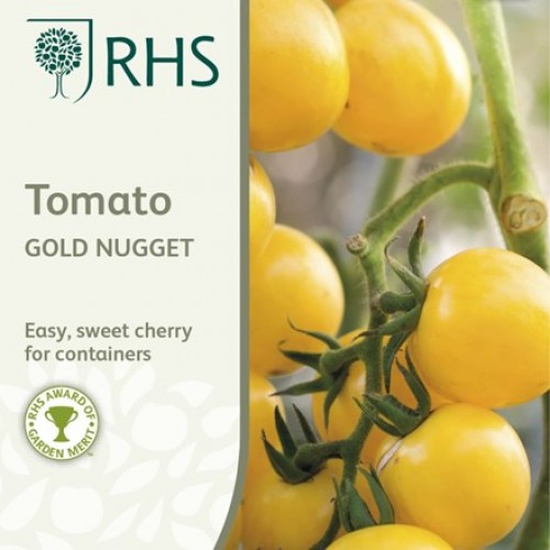 Seminte TOMATO-Solanum lycopersicum- Gold Nugget -Tomate pitice, cherry galbene