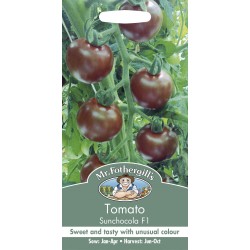 Seminte TOMATO-Solanum lycopersicum- Sunchocola F1 -Tomate medii negre