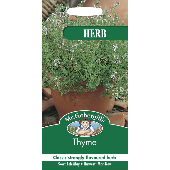 Seminte THYMUS vulgaris-Thyme- Cimbru acoperitor