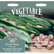 Seminte VICIA faba-Broad bean- Karmazin (Pink Seed) -Bob roz