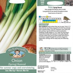 Seminte ALLIUM cepa-Onion Spring- Ramrod -Ceapa rezistenta la fainare si caldura