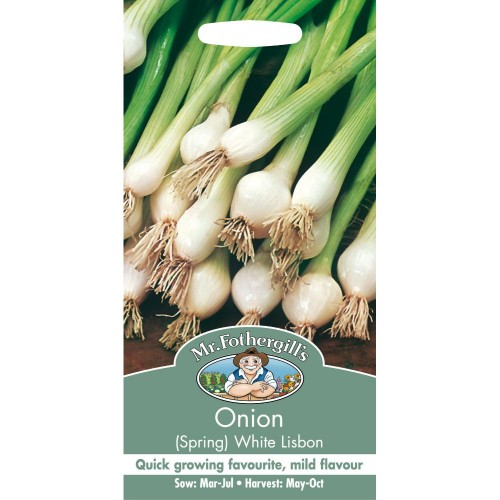 Seminte ALLIUM cepa-Onion Spring- White Lisbon -Ceapa tarzie