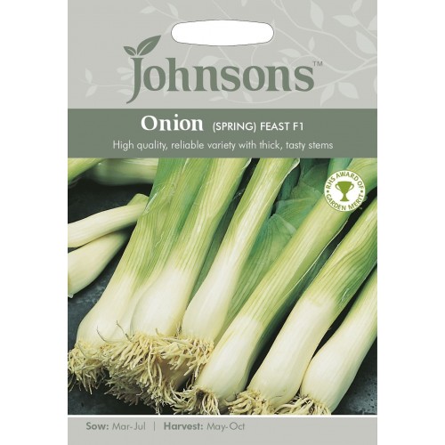 Seminte ALLIUM fistulosum-Onion Spring- Feast F1-Ceapa rezistenta la fainare si caldura