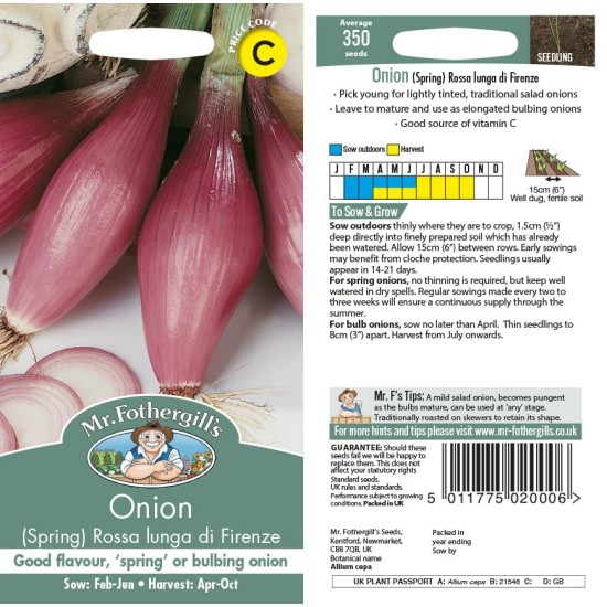 Seminte ALLIUM cepa-Onion Spring- Rossa Lunga di Firenze -Ceapa roz lunga