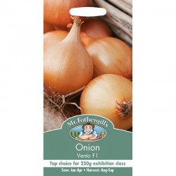 Seminte ALLIUM cepa-Onion- Vento F1 -Ceapa gigant