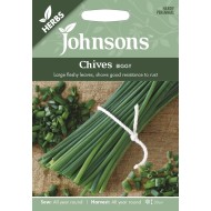 Seminte ALLIUM schoeonoprasum-Herbs- Chives Biggy -Ceapa perena de frunze