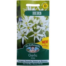 Seminte ALLIUM ursinum- Garlic (Wild) -Usturoi salbatic, cu frunza lata (Leurda)