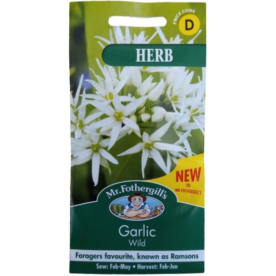 Seminte ALLIUM ursinum- Garlic (Wild) -Usturoi salbatic, cu frunza lata (Leurda)