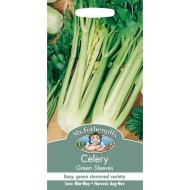 Seminte APIUM graveolens-Celery- Green Sleeves -Telina de petiol
