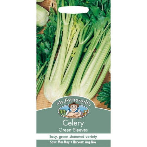 Seminte APIUM graveolens-Celery- Green Sleeves-Telina de petiol