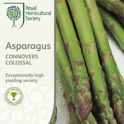 Seminte ASPARAGUS officinalis - Connovers Colossal -Sparanghel