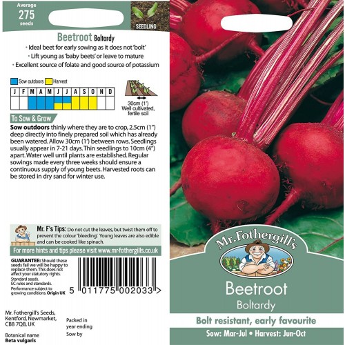 Seminte BETA vulgaris-Beetroot- Boltardy  - Sfecla de masa rosie