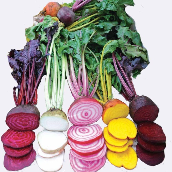 Seminte BETA vulgaris-Beetroot- Mixed -Amestec