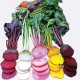 Seminte BETA vulgaris-Beetroot- Mixed -Amestec
