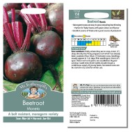Seminte BETA vulgaris-Beetroot- Moneta -Sfecla de masa violet, soi monogerm