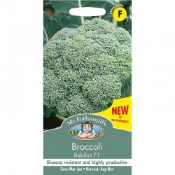 Seminte BRASSICA oleracea it. botrytis-Broccoli- Babilon F1 -Broccoli verde