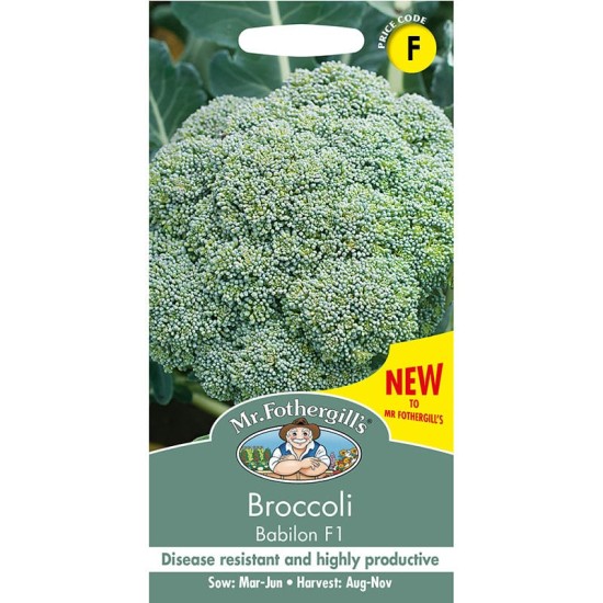 Seminte BRASSICA oleracea it. botrytis-Broccoli- Babilon F1 -Broccoli verde