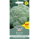 Seminte BRASSICA oleracea it. botrytis-Broccoli- Babilon F1 -Broccoli verde