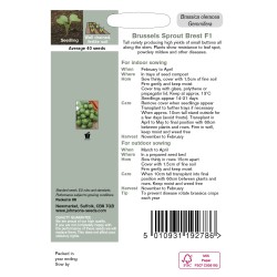 Seminte BRASSICA oleracea gemmifera-Brussels Sprout- Brest F1-Varza de Bruxelles rezistenta la boli Seminte BRASSICA oleracea gemmifera-Brussels Sprout- Brest F1-Varza de Bruxelles rezistenta la boli