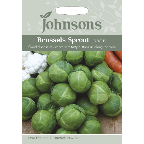 Seminte BRASSICA oleracea gemmifera-Brussels Sprout- Brest F1-Varza de Bruxelles rezistenta la boli Seminte BRASSICA oleracea gemmifera-Brussels Sprout- Brest F1-Varza de Bruxelles rezistenta la boli