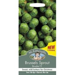 Seminte BRASSICA oleracea gemmifera-Brussels Sprout- Brodie F1-Varza de Bruxelles rezistenta