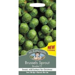 Seminte BRASSICA oleracea gemmifera-Brussels Sprout- Brodie F1-Varza de Bruxelles rezistenta Seminte BRASSICA oleracea gemmifera-Brussels Sprout- Brodie F1-Varza de Bruxelles rezistenta