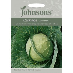 Seminte BRASSICA oleracea capitata-Cabbage- Langedijk 4-Varza de toamna pt pastrare
