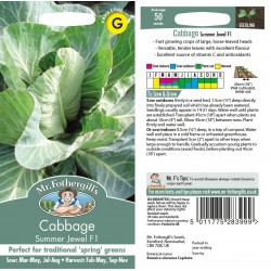 Seminte BRASSICA oleracea capitata-Cabbage- Summer Jewel F1 -Varza de capatana cu fr. libere