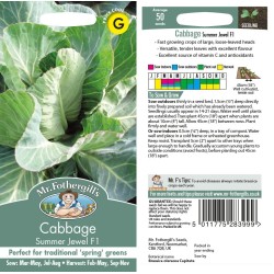 Seminte BRASSICA oleracea capitata-Cabbage- Summer Jewel F1 -Varza de capatana cu fr. libere Seminte BRASSICA oleracea capitata-Cabbage- Summer Jewel F1 -Varza de capatana cu fr. libere