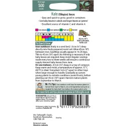 Seminte BRASSICA ol. carinata-Kale- (Etiopian) Amara-Varza de frunze, pt baby-leaf si plante mature Seminte BRASSICA ol. carinata-Kale- (Etiopian) Amara-Varza de frunze, pt baby-leaf si plante mature