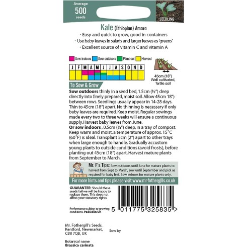 Seminte BRASSICA ol. carinata-Kale- (Etiopian) Amara (john) -Varza de frunze, pt baby-leaf si plante mature