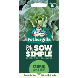 Seminte BRASSICA oleracea capitata-Cabbage- Loose Leaf -Varza rezistenta la boli