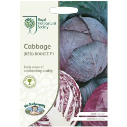Seminte BRASSICA oleracea capitata-Cabbage Red- Rookie F1 - Varza rosie