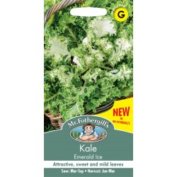 Seminte BRASSICA oleracea acephala-Kale- Emerald Ice -Varza de frunze bicolora
